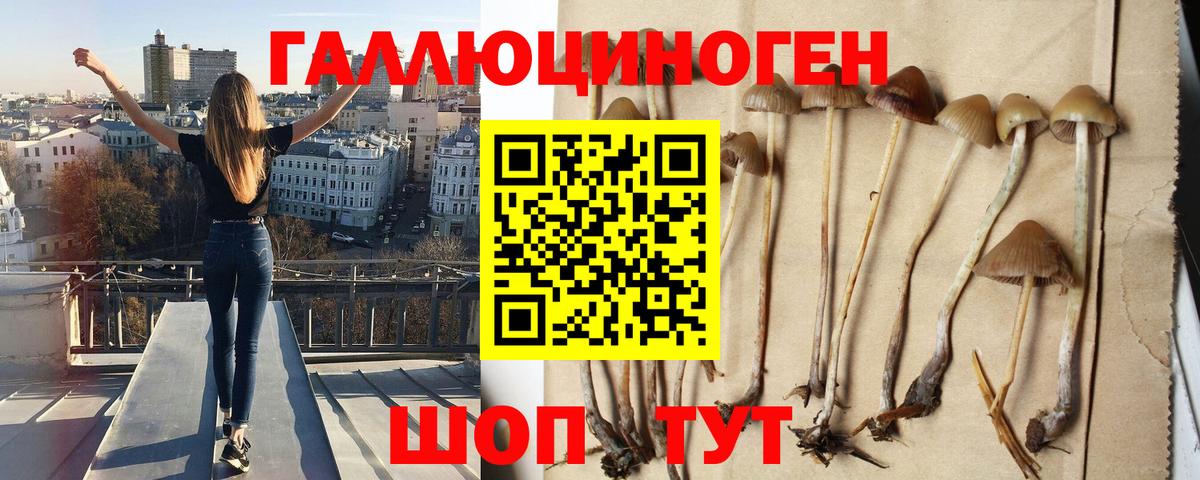 Ирбит  Галлюциногенные грибы ЛСД  Псилоцибиновые грибы мицелий  Вход с VPN 